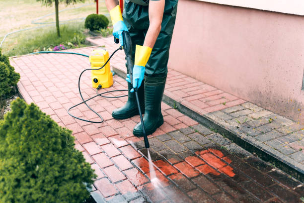 Best Soft Washing for Delicate Surfaces in East Flat Rock, NC